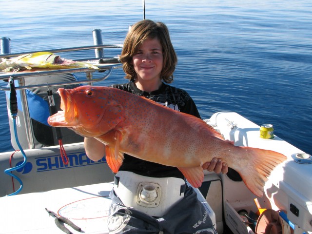 day four - Big Coral trout